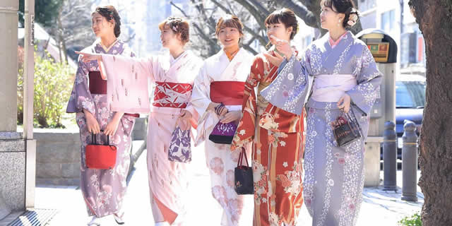 浅草着物散策観光プランお着物の一例