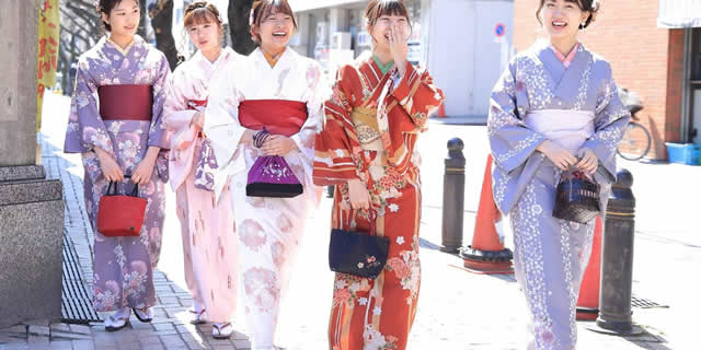 浅草着物散策観光プランお着物の一例