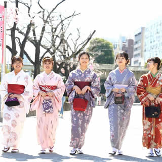 浅草着物散策観光プランお着物の一例