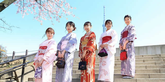 浅草着物散策観光プランお着物の一例
