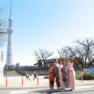 浅草着物散策観光プランお着物の一例