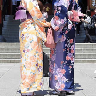 浅草着物散策観光プランお着物の一例