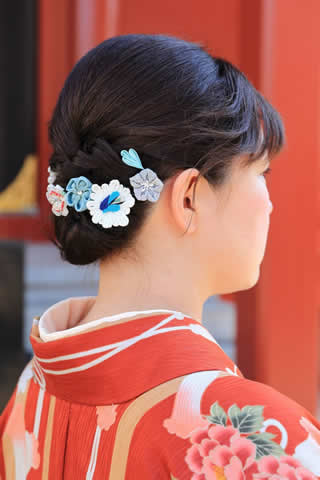 浅草着物散策観光プランお着物の一例