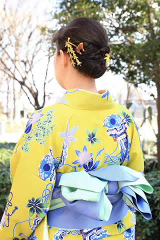 浅草着物散策観光プランお着物の一例